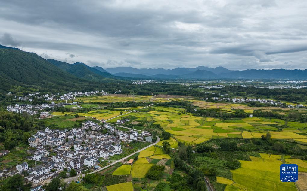牵手跑胡子电脑